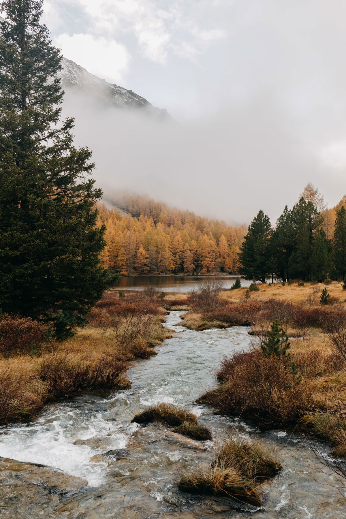 peaceful scenery